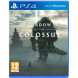 Shadow of the Colossus. В тени колосса [PS4, русская версия] во Владимире