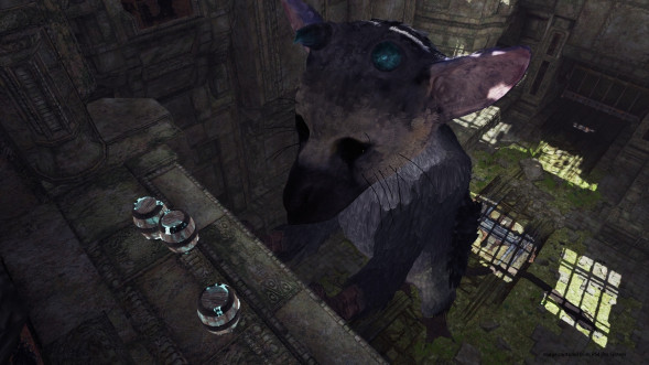 The Last Guardian: Последний хранитель [PS4, русские субтитры] во Владимире