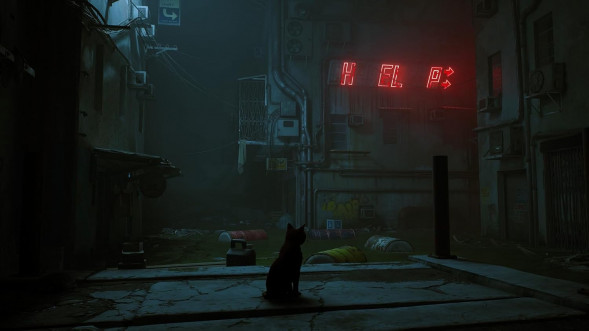 Игра Stray [Nintendo Switch, русские субтитры] во Владимире