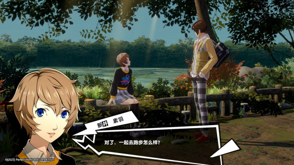 Persona 5 Royal [Nintendo Switch, английская версия] во Владимире