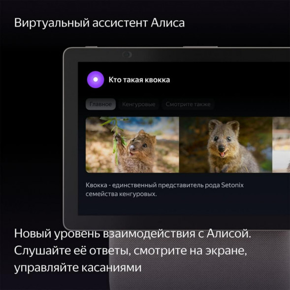 Яндекс Станция Дуо Макс с Алисой, с Zigbee, 60 Вт, бежевый во Владимире
