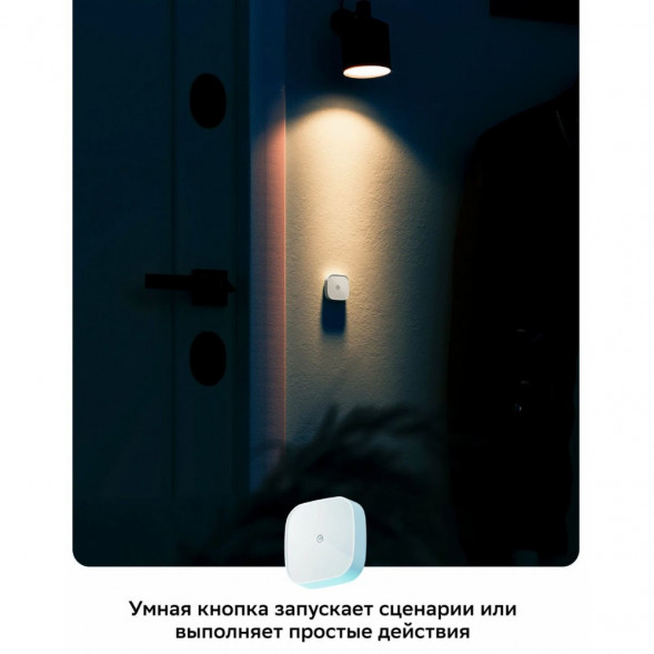 Умная кнопка Sber SBDV-00032 во Владимире