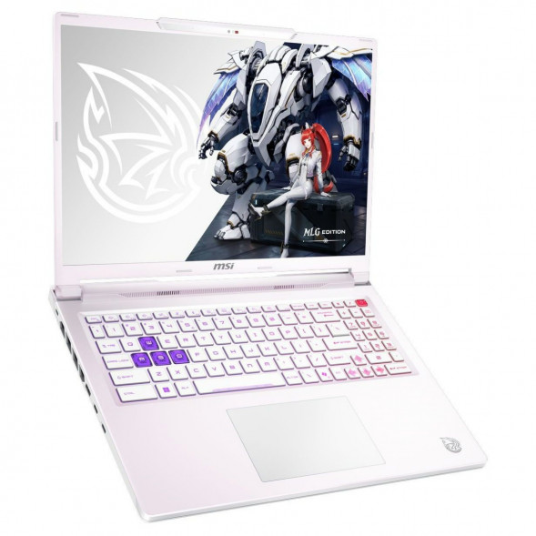 Ноутбук MSI Crosshair A16 HX MLG Edition E8WGXK-089XRUY (16&amp;quot;, IPS, AMD Ryzen 9 8940HX 2.4ГГц, 16 ядер, 16ГБ DDR5, 1ТБ SSD, NVIDIA GeForce RTX 5070 - 12 ГБ, без ОС), белый во Владимире
