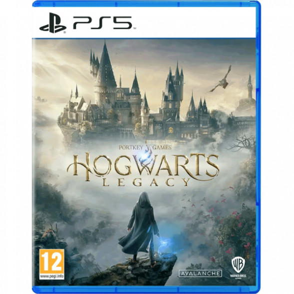 Игра Hogwarts Legacy Standard Edition для PlayStation 5 во Владимире
