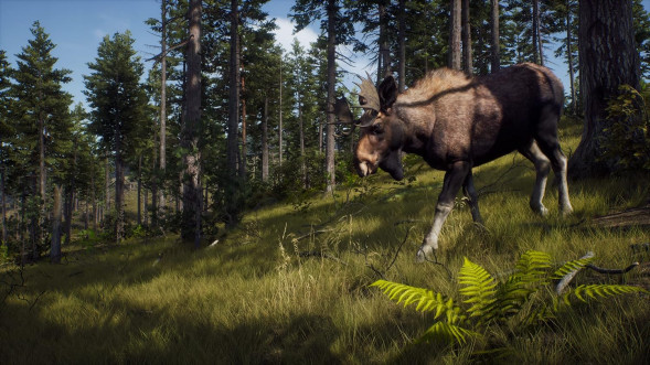 Игра Way of the Hunter [PS5, русские субтитры] во Владимире