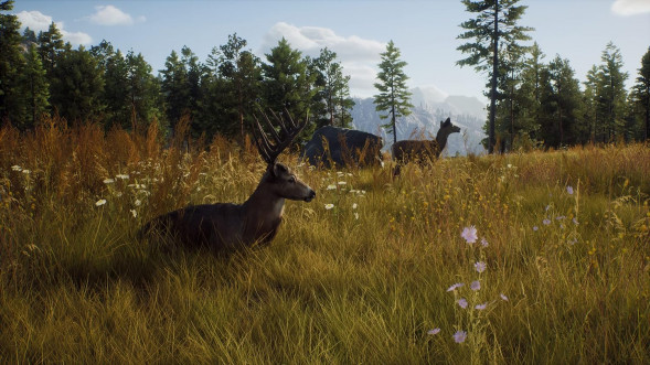 Игра Way of the Hunter [PS5, русские субтитры] во Владимире