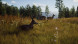 Игра Way of the Hunter [PS5, русские субтитры] во Владимире