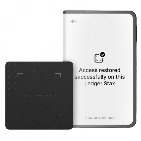 Аппаратный холодный криптокошелек Ledger Stax c чехлом Magnet Shell Black + Recovery Key во Владимире
