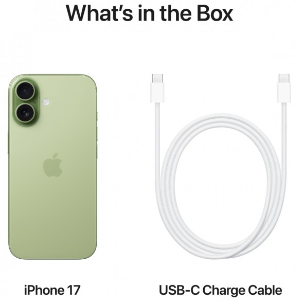 Смартфон Apple iPhone 17 512GB eSim, Sage во Владимире
