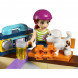 Конструктор LEGO Friends 41099 Скейт-парк во Владимире