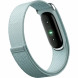 Фитнес-браслет Google Fitbit Air (Серо-голубой/Fog) во Владимире