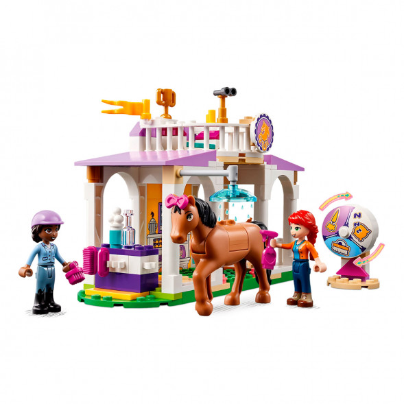 Конструктор LEGO Friends 41746 Horse Training во Владимире