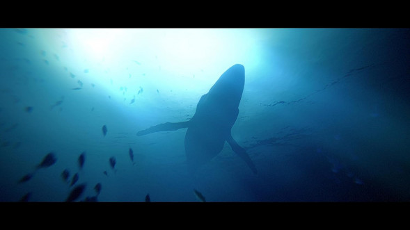 Игра Under The Waves [PS4, русские субтитры] во Владимире