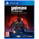 Игра Wolfenstein Youngblood Deluxe Edition [PS4, русская версия] во Владимире