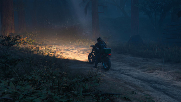 Игра Жизнь После (Days Gone) [PS4, русская версия] во Владимире