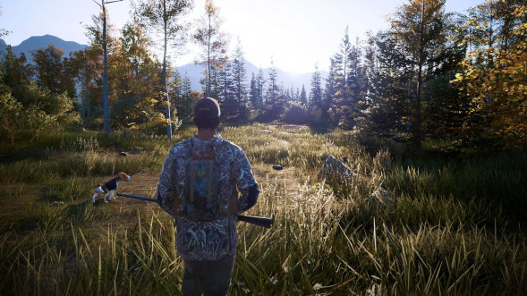 Игра Hunting Simulator 2 [PS5, английская версия] во Владимире